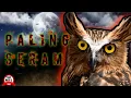 Download Lagu Suara burung hantu atau celepuk malam hari