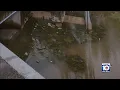 City leaders hold press conference to help Opa-locka residents living in deplorable conditions