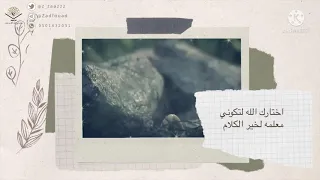 يدا بيد نبني جيل القرآن 