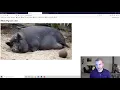 Javascript - Web Design Lesson 8 National 5 Computing