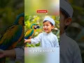Download Lagu 2 year old boy reads the Quran perfectly. SURAH AL-KAFIRUN 💕Ai concept #shorts #muslim #india #ai
