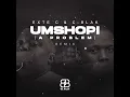 Umshopi (Remix)