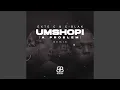 Download Lagu Umshopi (Remix)