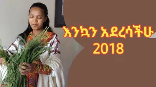 አዲሱን አመት ከልጃችን ጋር ተቀብለነዋል 