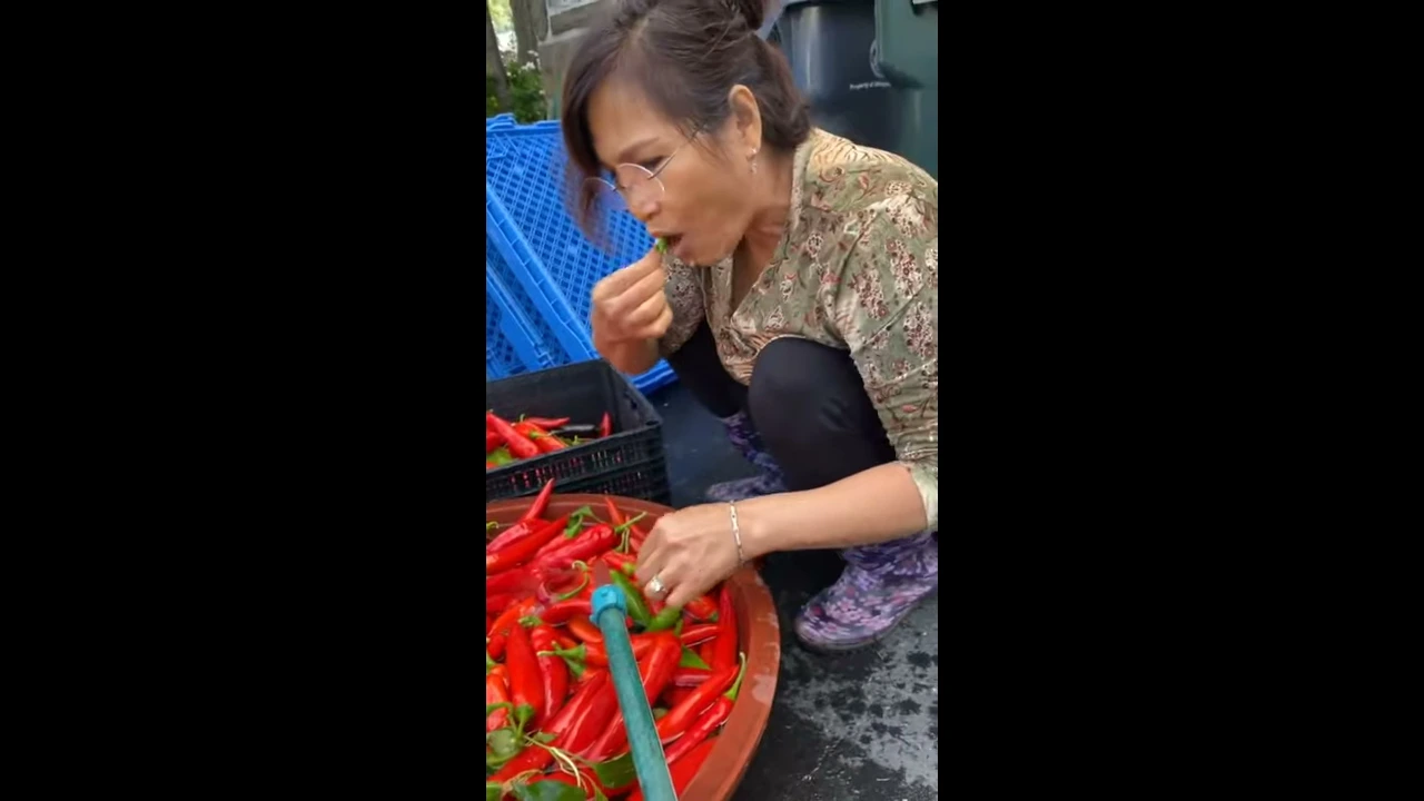 Mama Cho with freshest peppers  #shorts