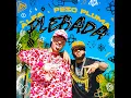 PLEBADA - El Alfa, Peso Pluma & Chael Produciendo