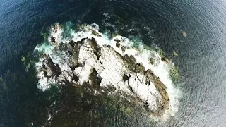 موسيقى هادئة مريحة لا تحتوي على حقوق الملكية 