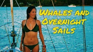 Sailing Nandji – Ep 14, Whales and Overnight Sails