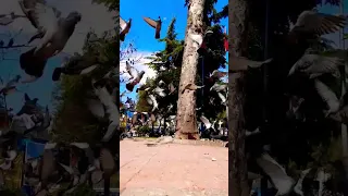 في هذه الحياة ستتعلم كل شيء وحدك إلا القسوة سيقوم شخص آخر بتعليمها لك 