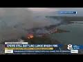 Crews fight 150-acre brush fire in Hernando County