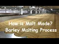 Barley Malting 101 Steeping Germination and Kilning Simplified How is Malt Made