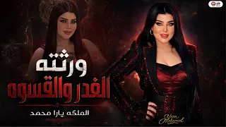 ورثتو الغدر والقسوه  بطلت الحب نهائي  بحارب وحدى فى ديابه  الملكه يارا محمد   ترند الموسم      دندنها