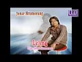 Download Lagu JONAR SITUMORANG - LELENG [Official Music Video CMD Record]