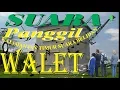 Download Lagu Suara panggil walet kalimantan timur suara belidan