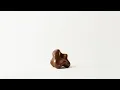 scat play - why does human poop taste like chocolate