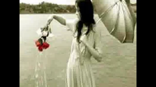 محمد النصري هي ما زي المطر بتقيف ولا زي البروق تشلع يا سلام 