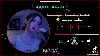 وطن غريب ريمكس   دندنها