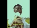Bella shmurda ft Zlatan ibile - Hallelu