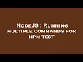 NodeJS Running multiple commands for npm test