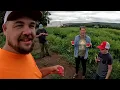 Download Lagu Unexpected help with our HUGE harvest 