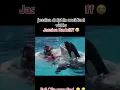 Download Lagu Jessica Radcliffe Orca Attack Full Video | Jessica Dolphin Viral Video 💔🥺 Emotional Video
