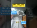 Download Lagu Halili bicara madura ? Ada yang faham dia ngomong apa? Mana suara orang madura??