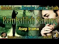 Download Lagu Lagu dangdut lawas ][ Lagu dangdut hits ][ Lagu dangdut ][ Kembalilah Sayang ~ Asep Irama ]
