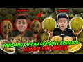 Download Lagu MUKBANG DURIAN GERGASI HARGA KAYANGAN!!! TRAUMA TERTELAN BIJI DURIAN SAMPAI TERCEKIK?!