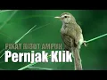 Download Lagu SUARA RIBUT PRENJAK KLIK TARUNG AMPUH || PIKAT PRENJAK SAWAH || PIKAT CIBLEK SAWAH