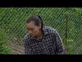 Living in the Forest | An Unexpected Conversation with My Ex-Husband About the Future. Ly Vy Ca 