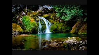 فيروز عند الأنهار 