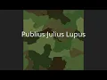 Publius Julius Lupus