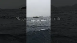 This is serious.. #shorts #serious #waitforend