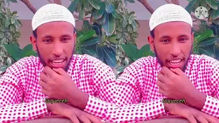 gaafii addaa nama wal qunnamtii saalaa godhaa jiru tumne 