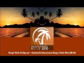 Roger Shah \u0026 Signum - Healesville Sanctuary (Roger Shah Mix) [ARDI2010.01]
