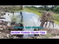 Download Lagu MUSIM TOMAN TELAH TIBA..!!? SAMPAI TERKEJUT - KEJUT DISAMBARNYA