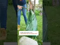 Restock Replenish Your Trusted Source for Growing and Landscape Supplies