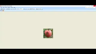 Disease Detection in Fruits using Image Processing