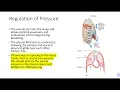 PHYS 261 Week 5 Lab Quiz Review