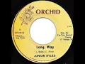 Download Lagu JUNIOR BYLES ♦ Long Way/Longer Way {ORCHID 7\