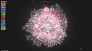 -Anything - Gource visualisation