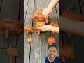 kodok buyi krok2😁#shorts #reaction #funny #trending #viralvideo #nature #greenscren#comedy#frog