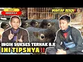 Download Lagu Sukses Ternak Bajing / Tupai Kelapa || 🐿️ INI TIPSNYA!!  ✅