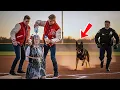 Download Lagu Officer Found Bullies Pouring Milk on His Fallen Partner’s Daughter—Then His K9 Taught Them a Lesson