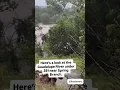 WATCH Guadalupe River under Hwy 281 near Spring Branch