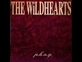 Woah Shit, You Got Through - The Wildhearts