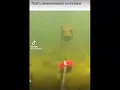 That s determination on his face