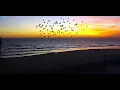 Jacksonville Beach Pier Live Cam South View By 911surfreport com