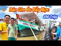 Download Lagu Bán Ghe Ốc 890 Triệu Bao Ngon Và Chất Lượng || Thích Hợp Làm Nhiều Nghề