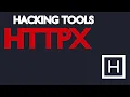 HTTPX a fast multi purpose HTTP toolkit
